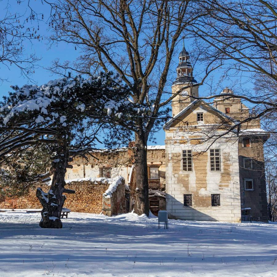 Palac Gorzanow Экстерьер фото